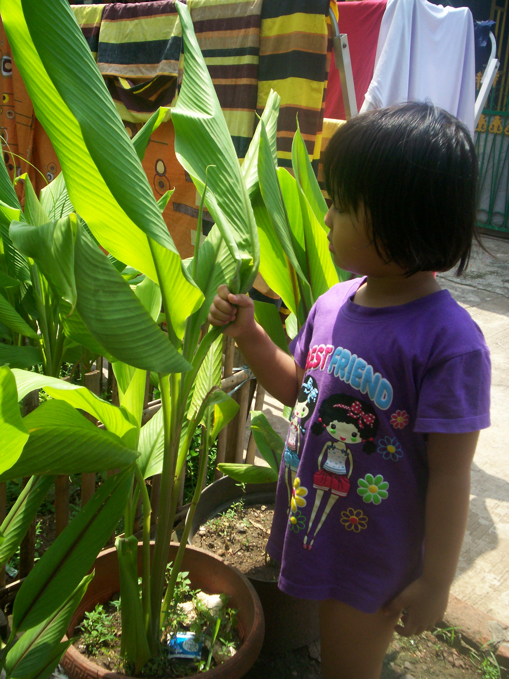 Menjadikan Kebun Sebagai Sarana Belajar Bagi Anak PAUD 